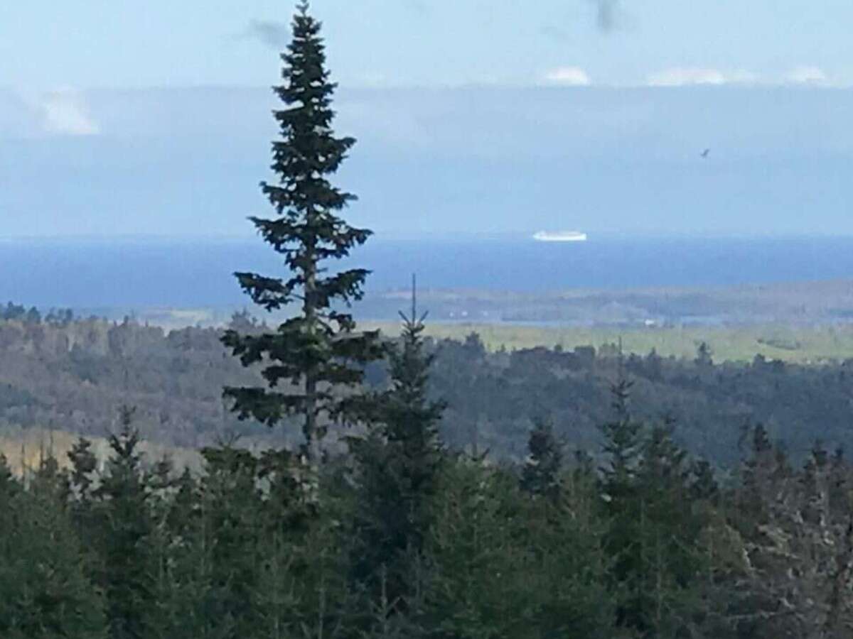 125 acres land/lot/field