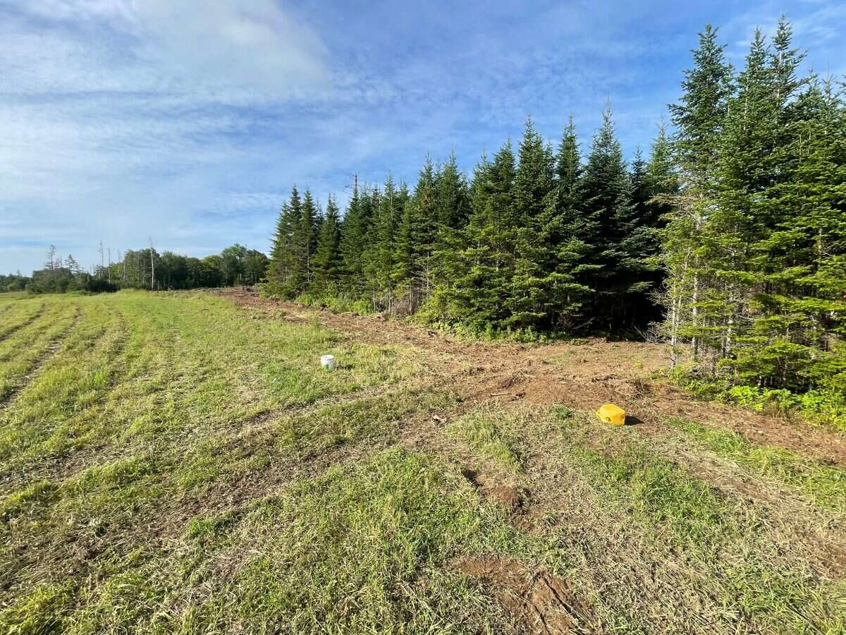 125 acres land/lot/field