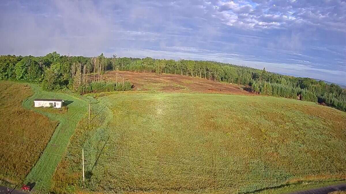 125 acres land/lot/field