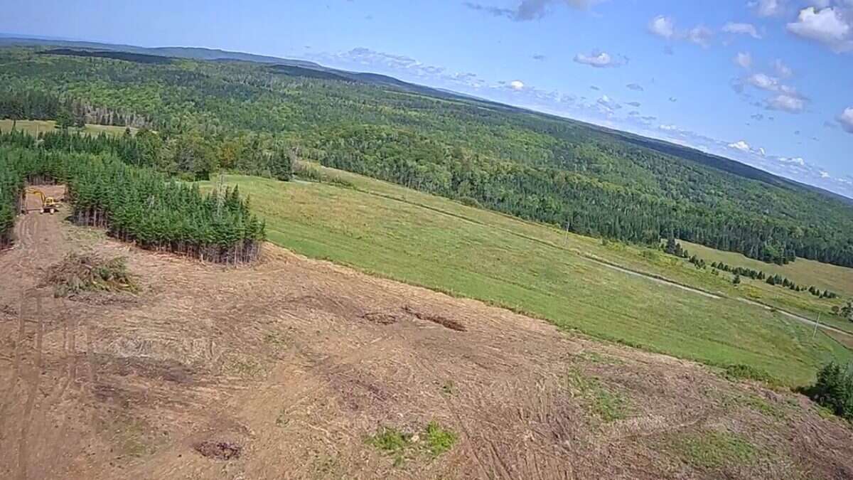 125 acres land/lot/field