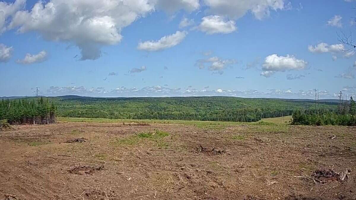 125 acres land/lot/field
