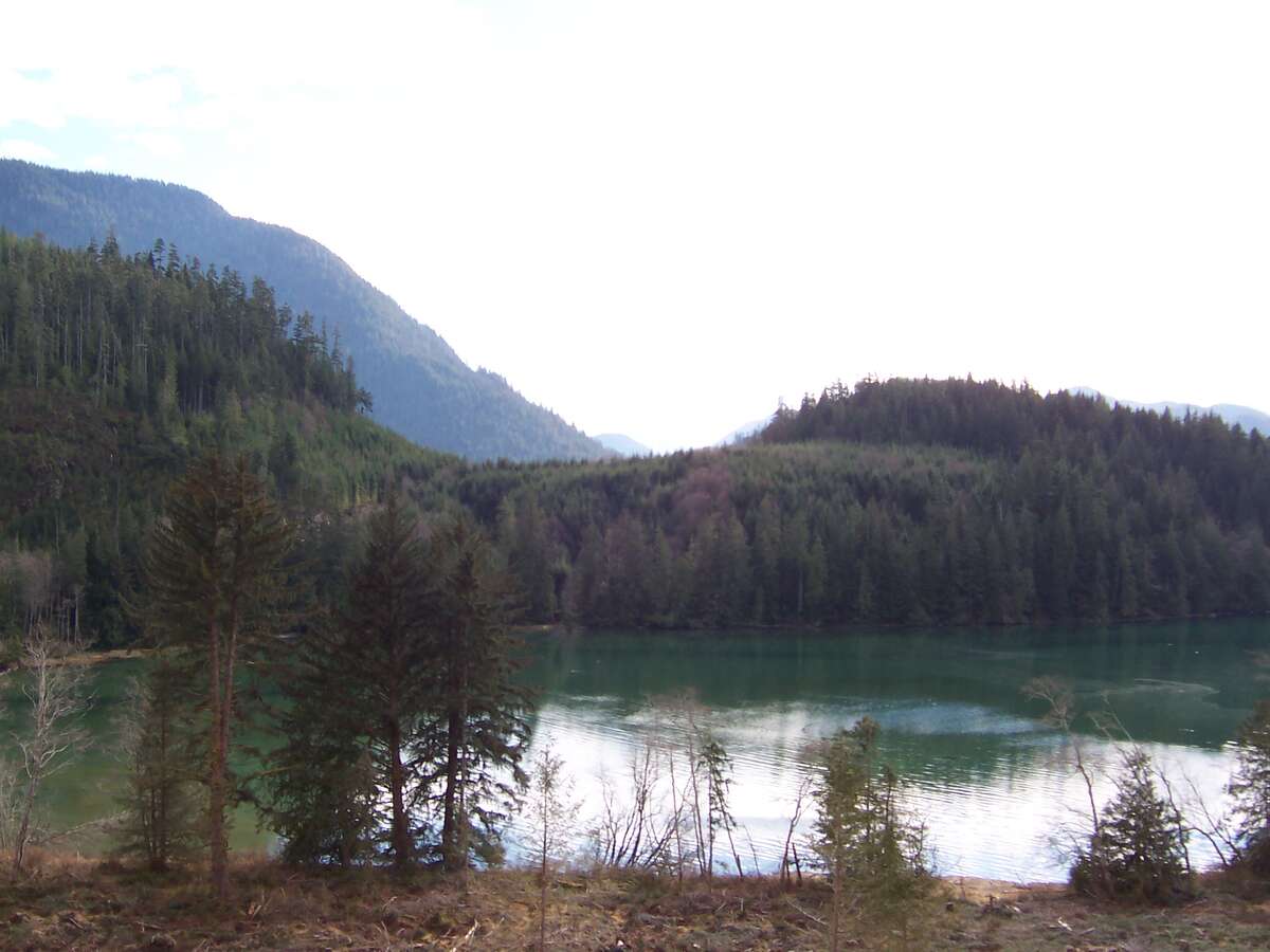 Feb 2005