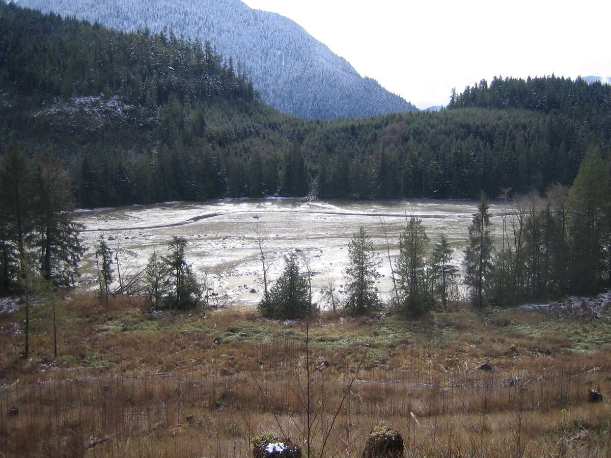 March 2008