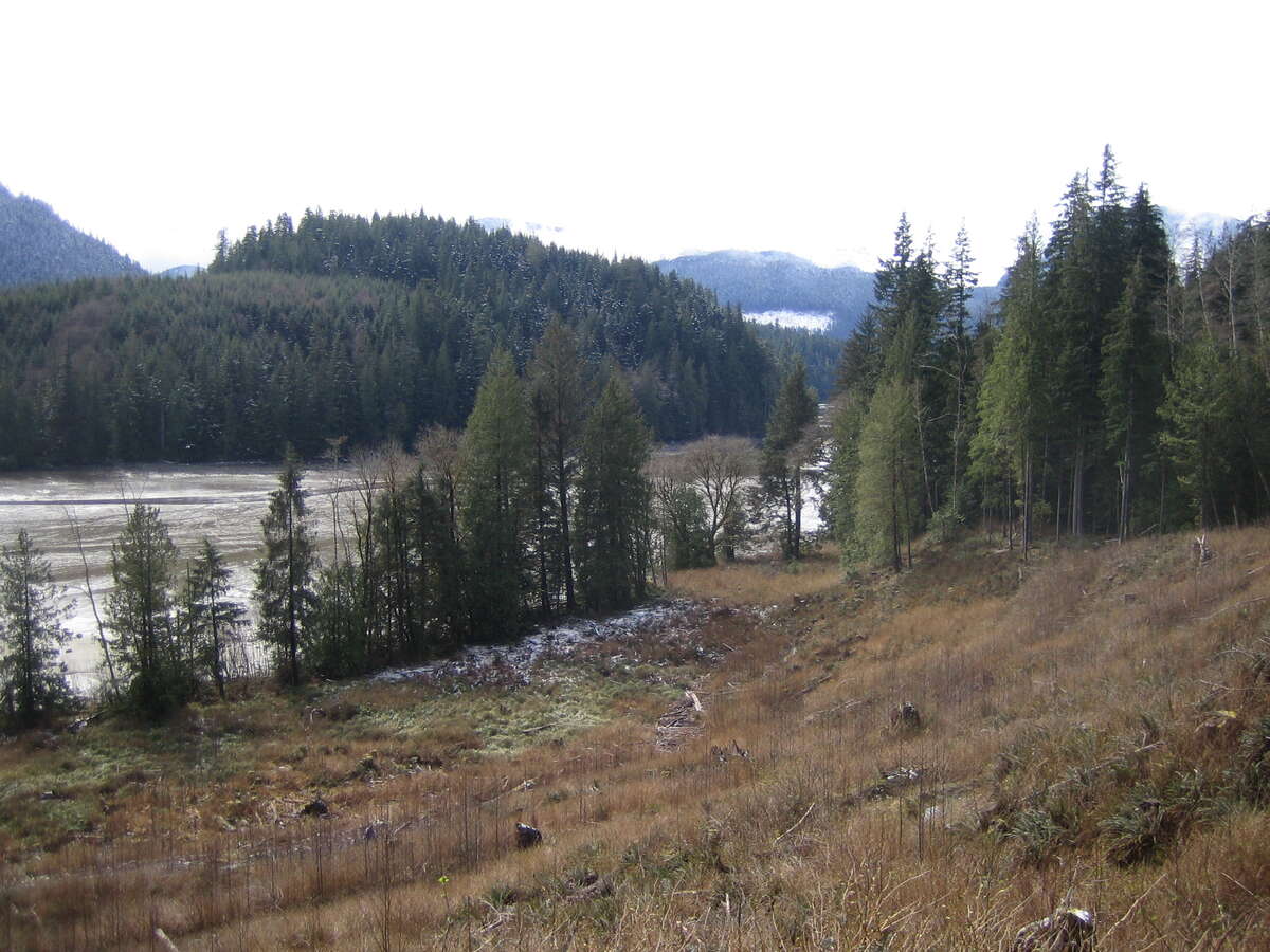 March 2008