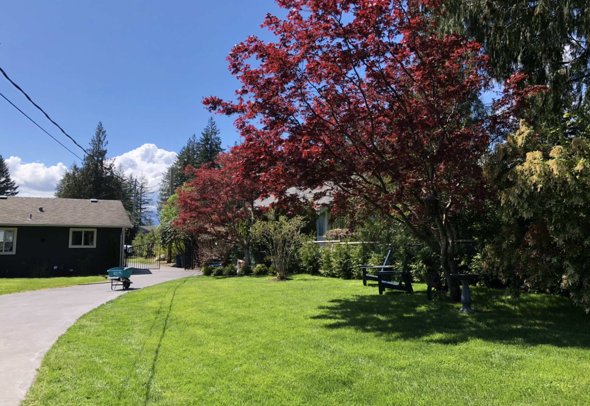 Charming rancher in desirable Huband area