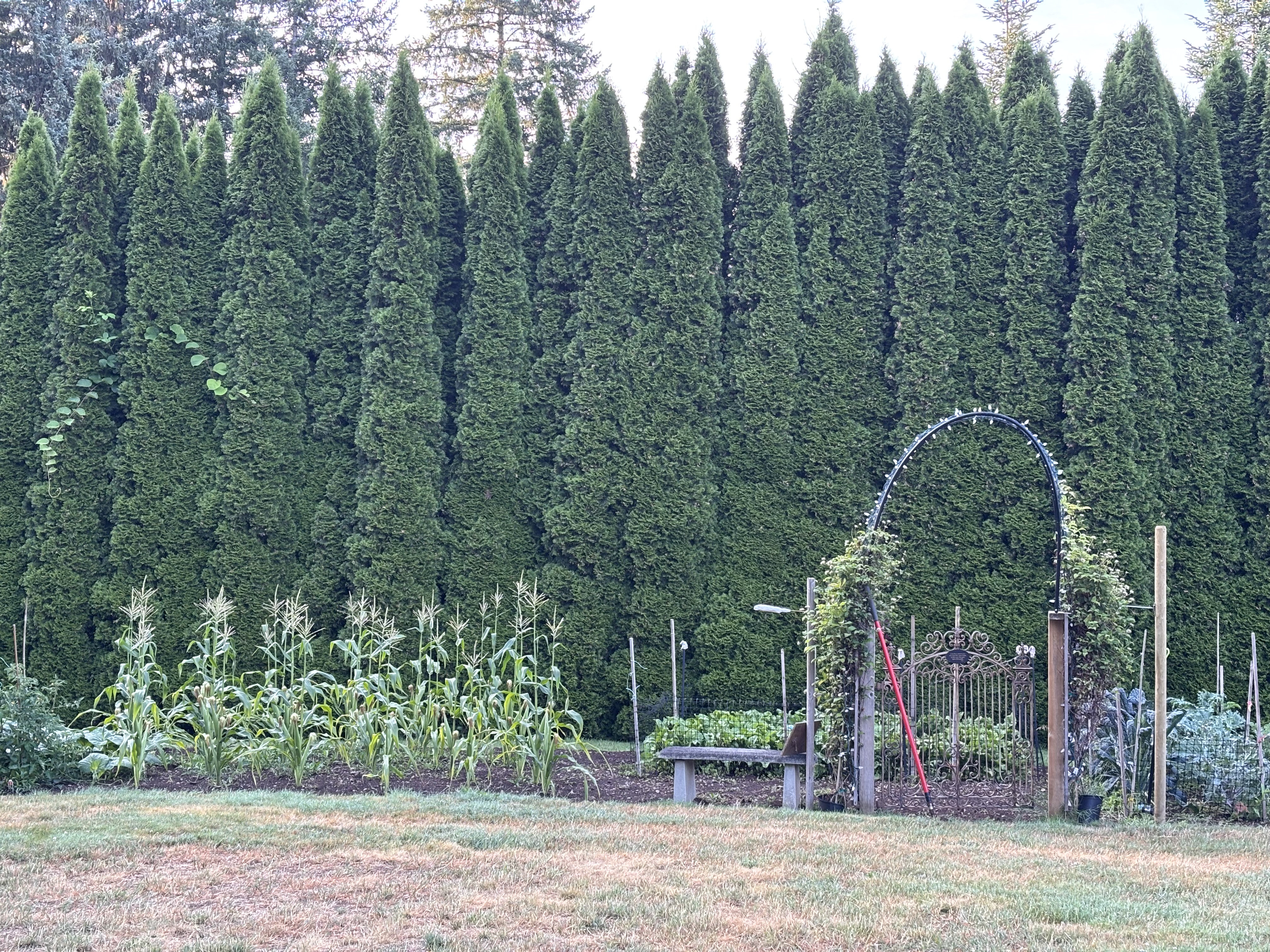 Charming rancher in desirable Huband area