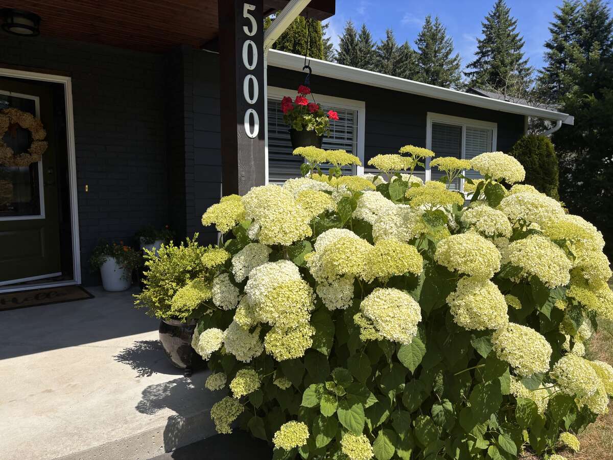 Charming rancher in desirable Huband area