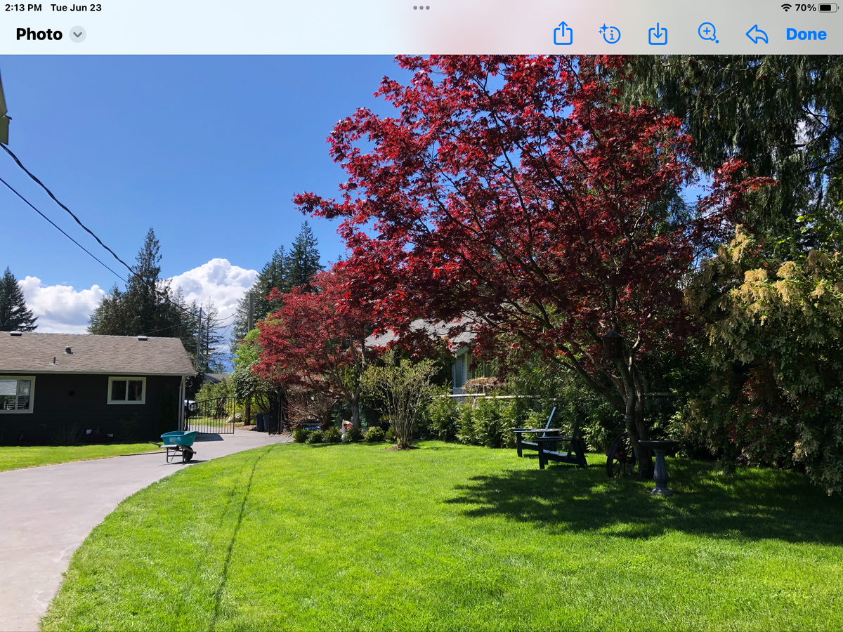 Charming rancher in desirable Huband area