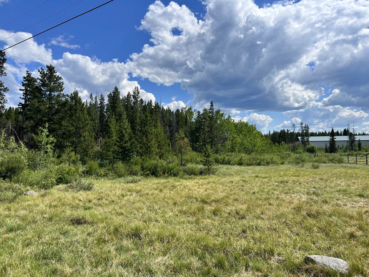 Vacant Land / Acreage For Sale in Anahim Lake, BC