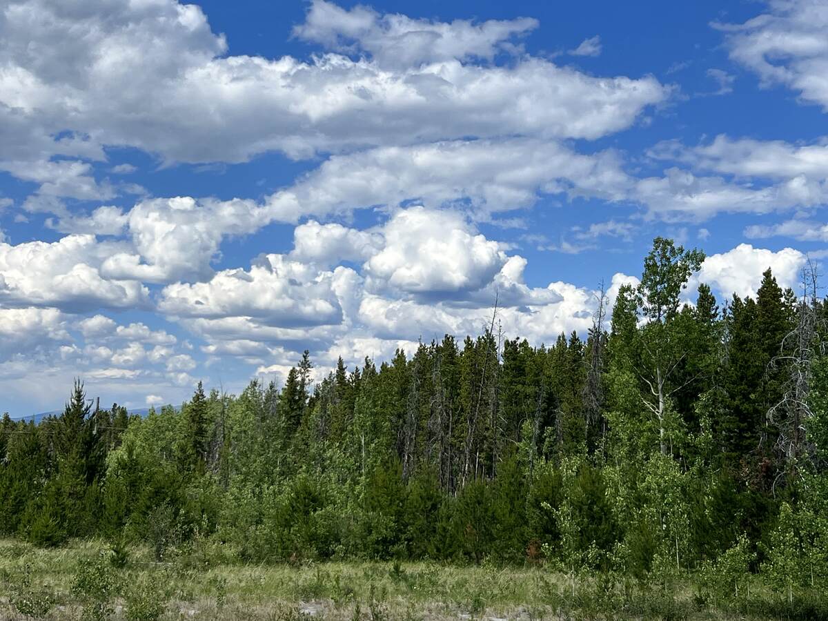 Vacant Land / Acreage For Sale in Anahim Lake, BC