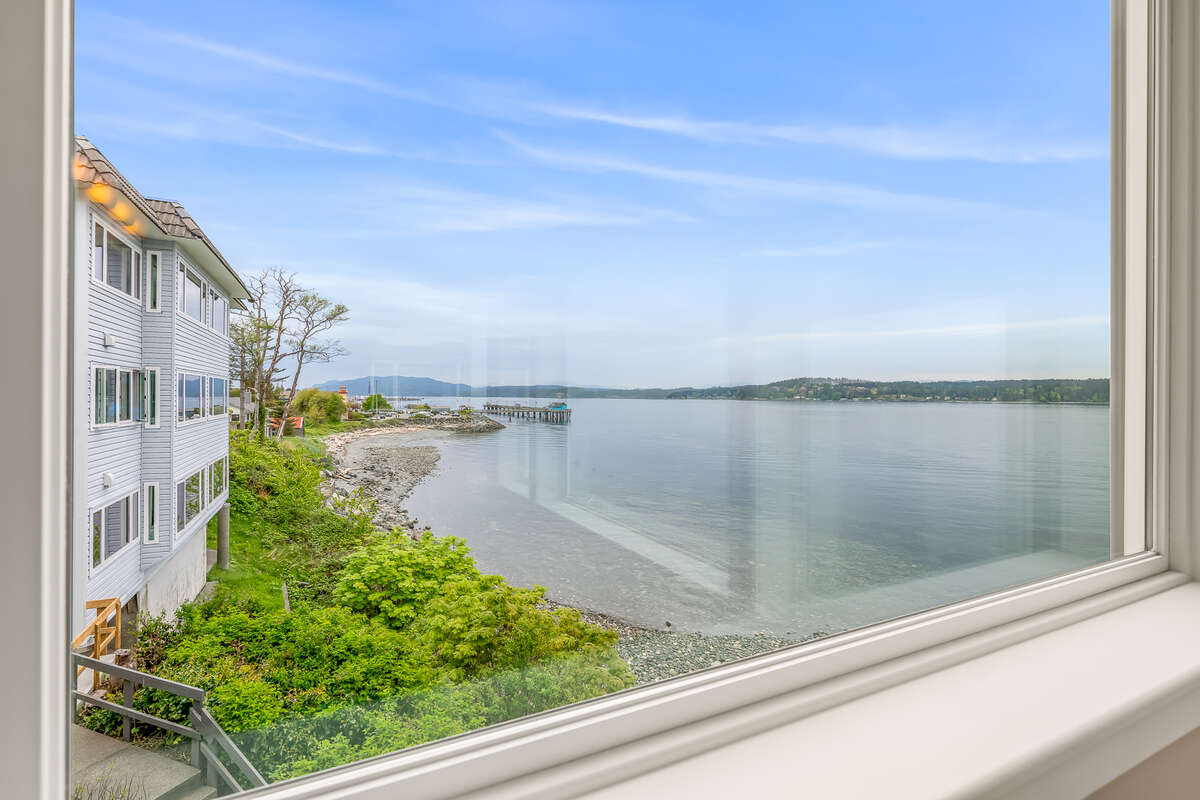 View from Sun Room