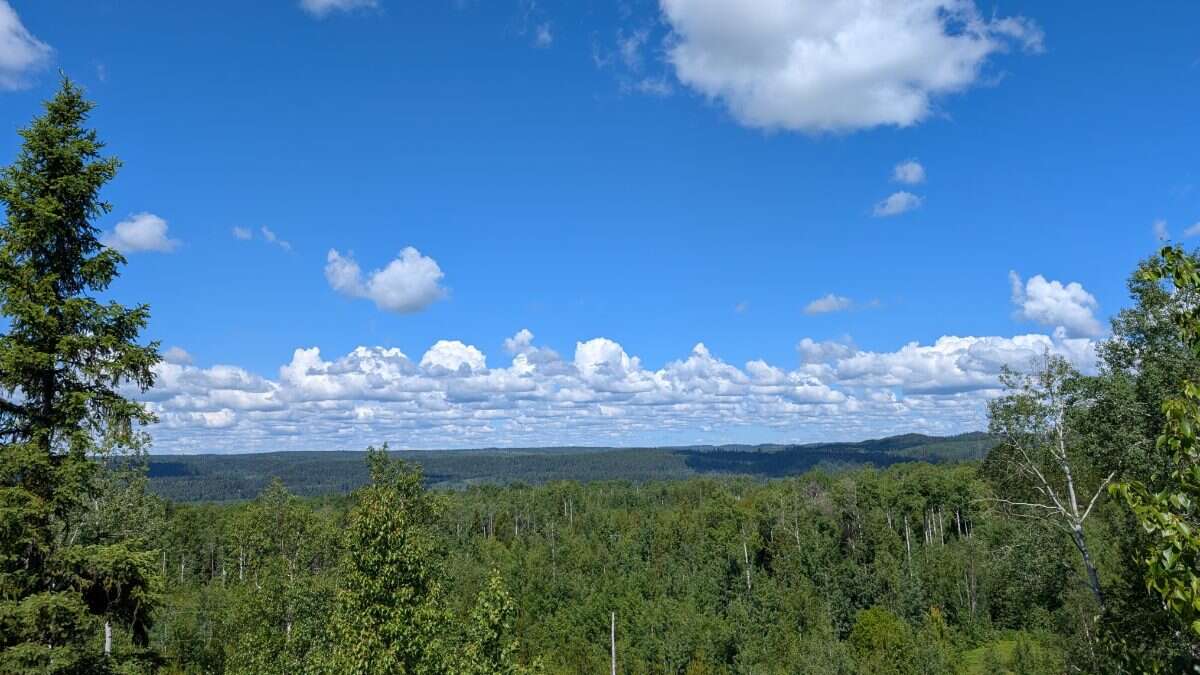 Beautiful 4ac Lot with Lookout Cabin