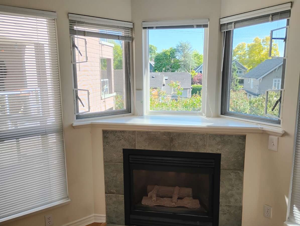 Gas fireplace