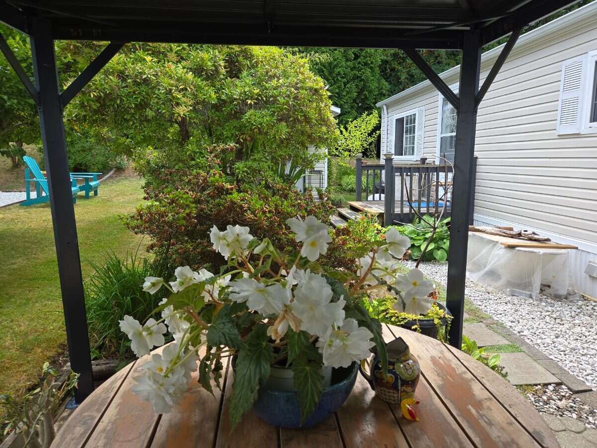 Desirable 55+ Mobile Park Courtenay Van. Island 