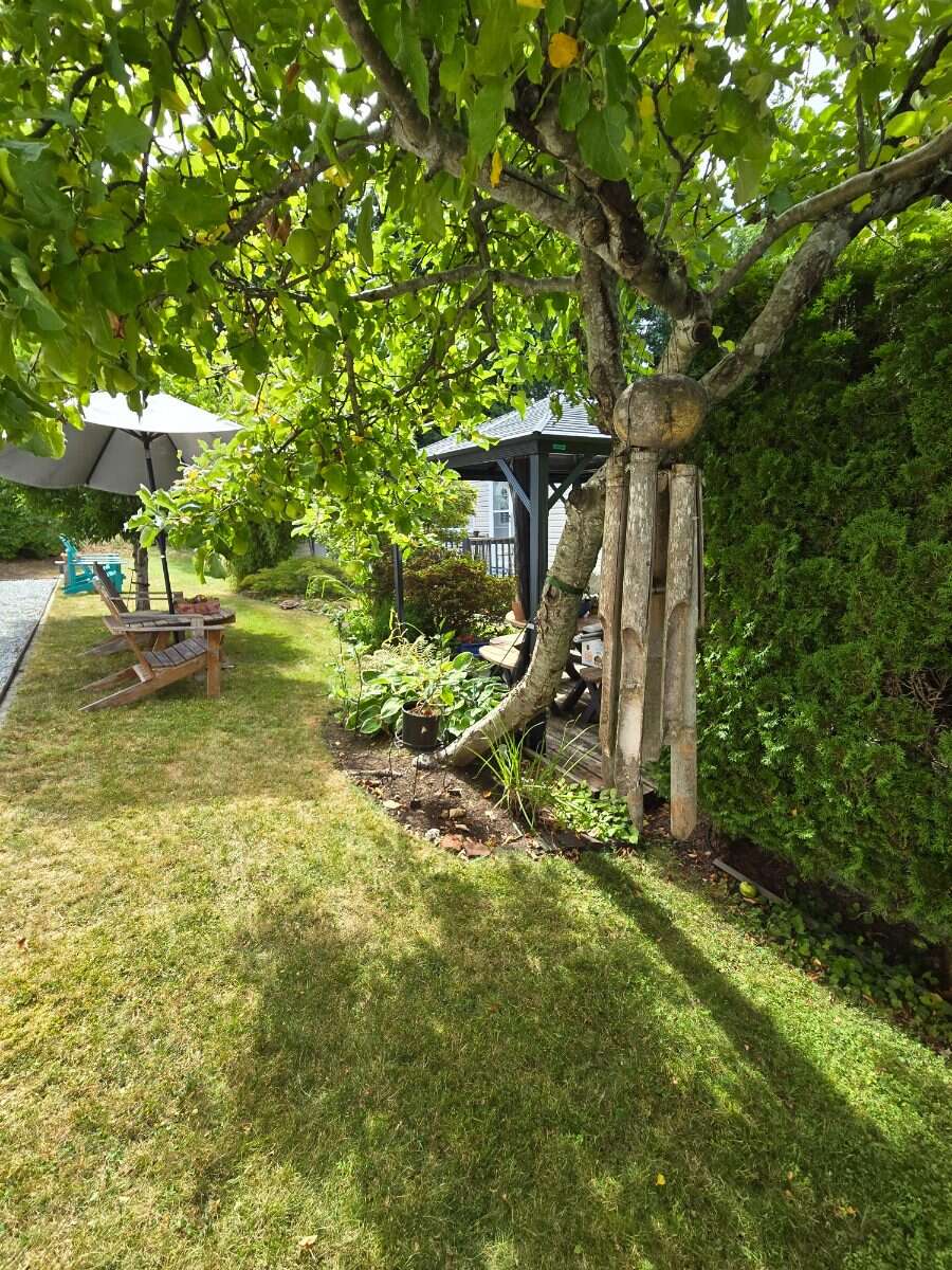 Desirable 55+ Mobile Park Courtenay Van. Island 