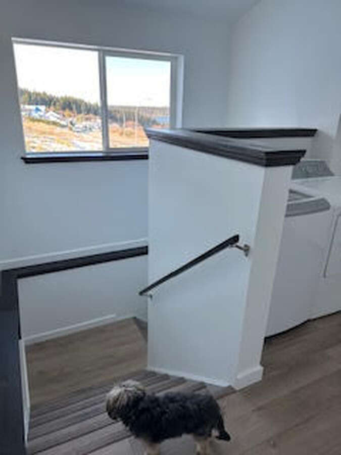back corner could be a barbeque pit