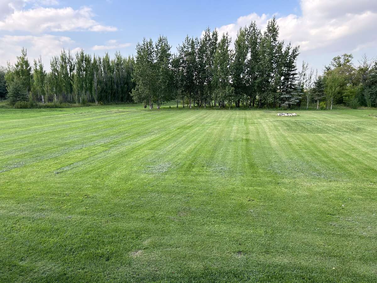 Back yard