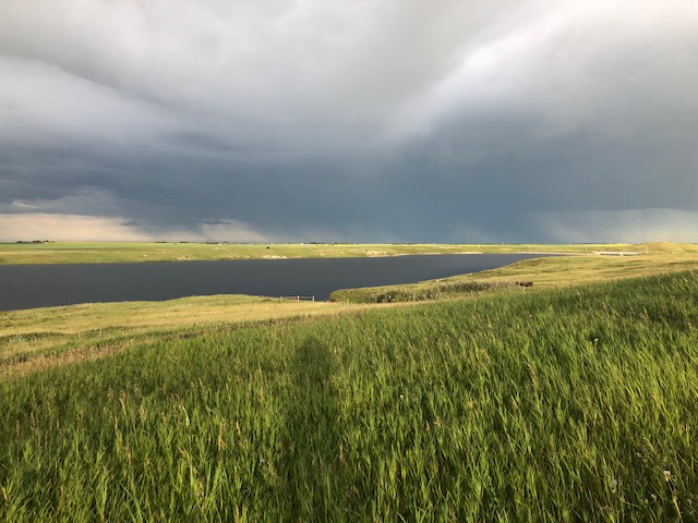 Acreage / Ranch / Recreational Property / Vacant Land For Sale in Stavely, AB