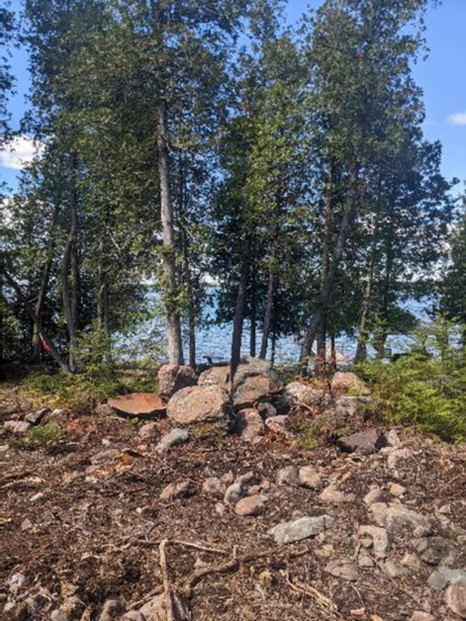 View from cleared area