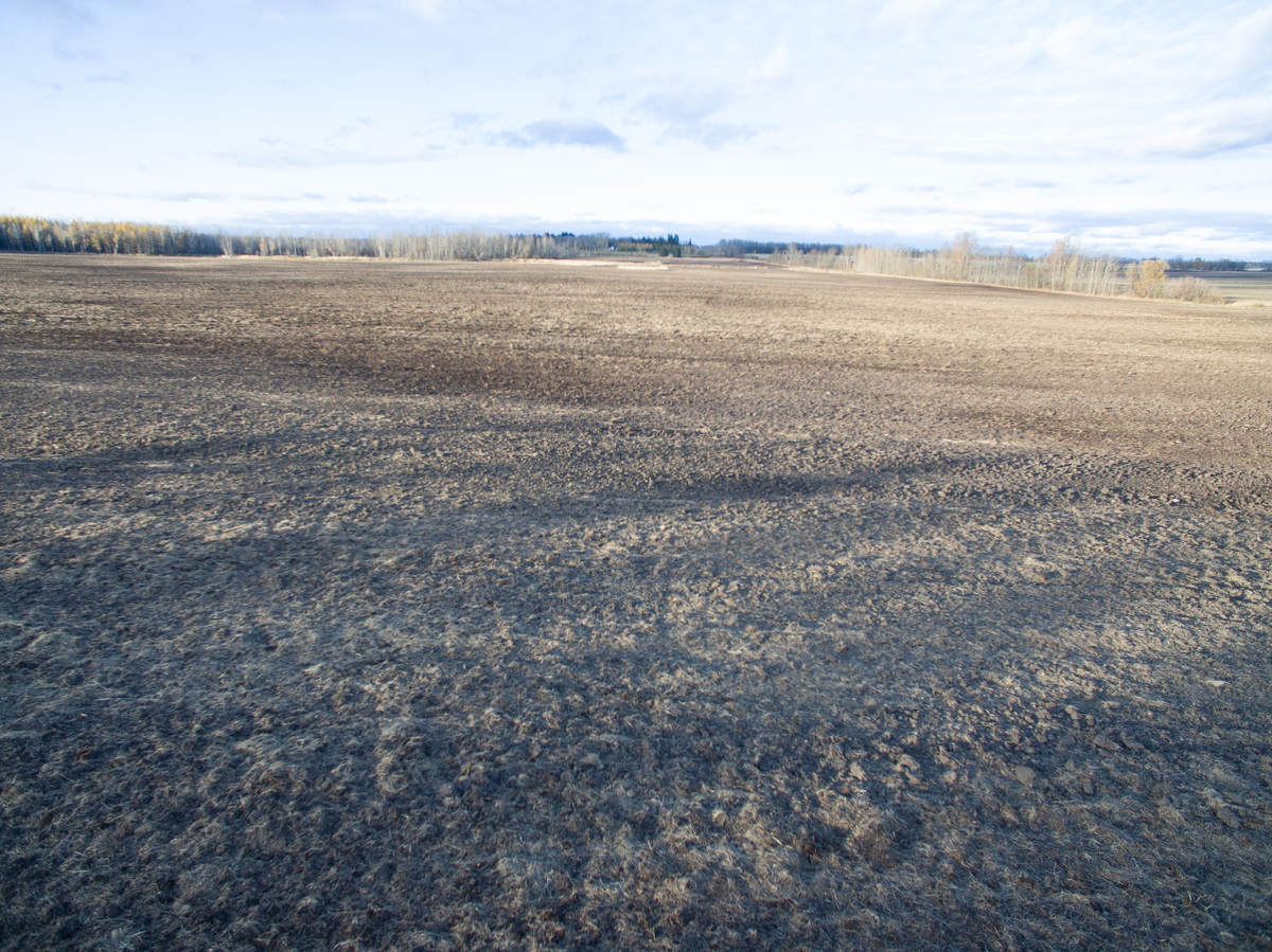 Vacant Land / Farm For Sale in Westlock, AB