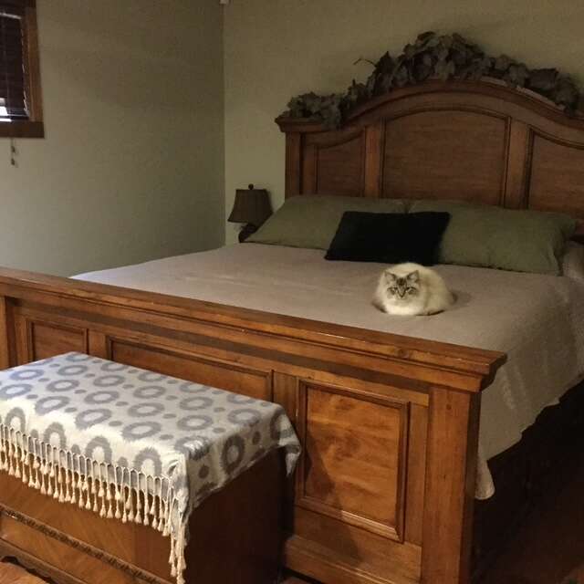 Lower King bedroom 2 - Cat not included