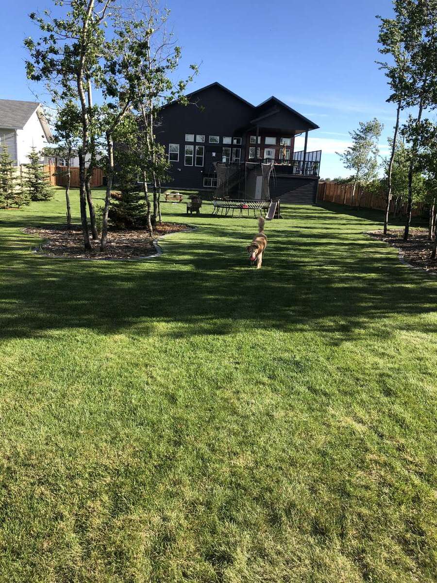 massive yard, fully fenced.