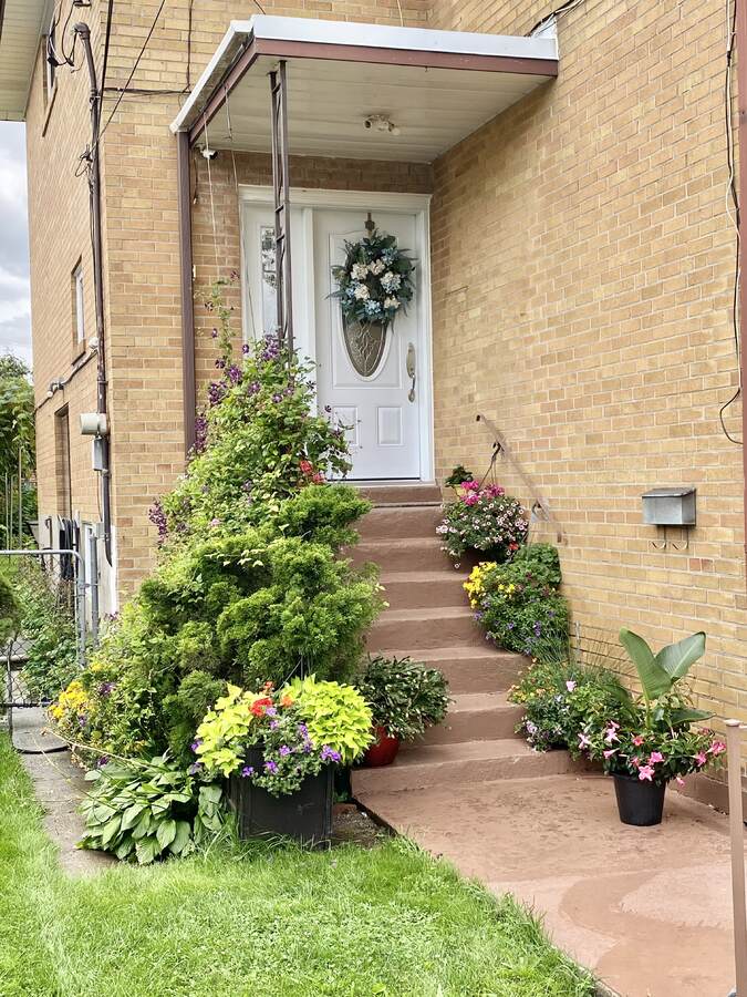 House / Semi-Detached House For Sale in Toronto, ON - 4 bed, 2 bath