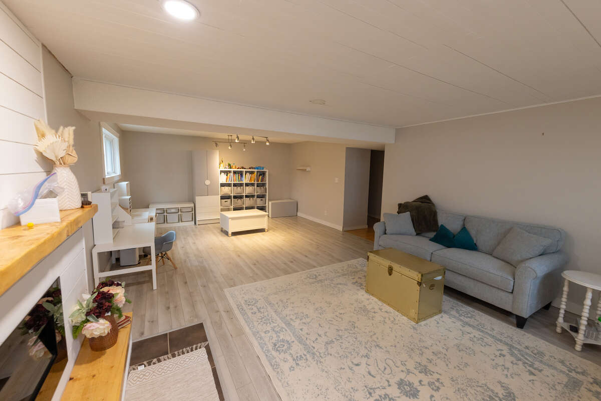 Basement Living Space