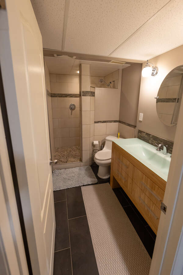 Basement Bathroom