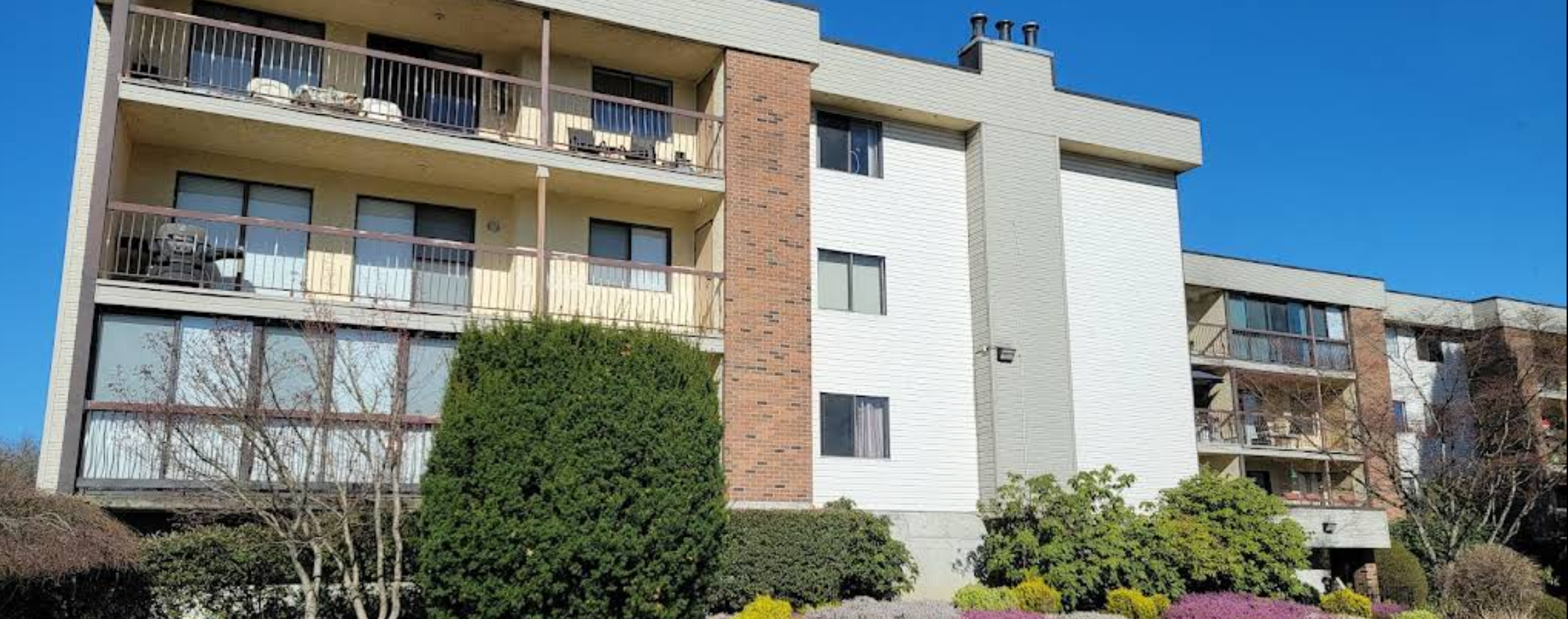 Nicely Renovated Starter Apartment 1 Bed + 1 Bath