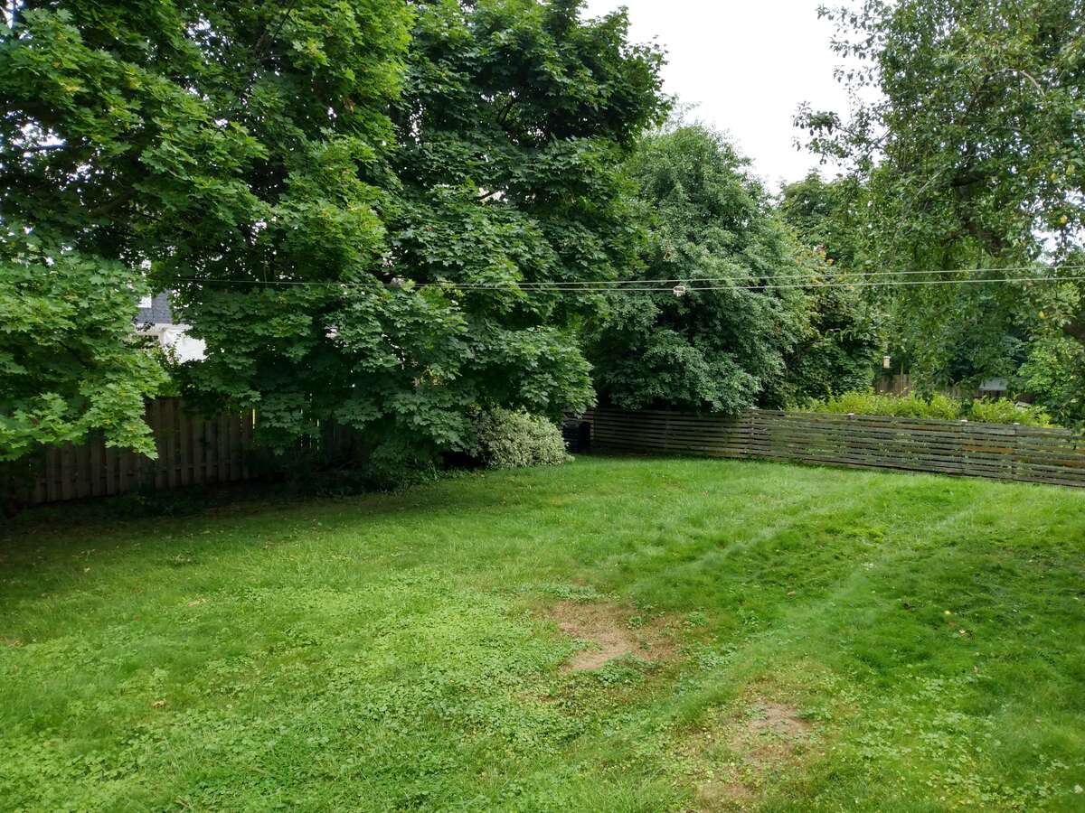 Backyard S