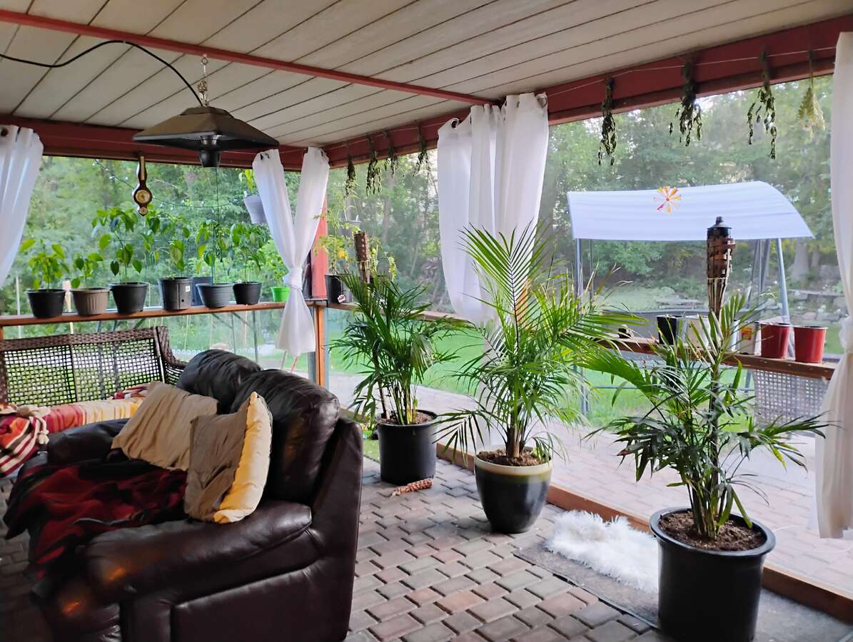 Renovated 4 bed 3 bath home on 100x200 lot w/Shop!