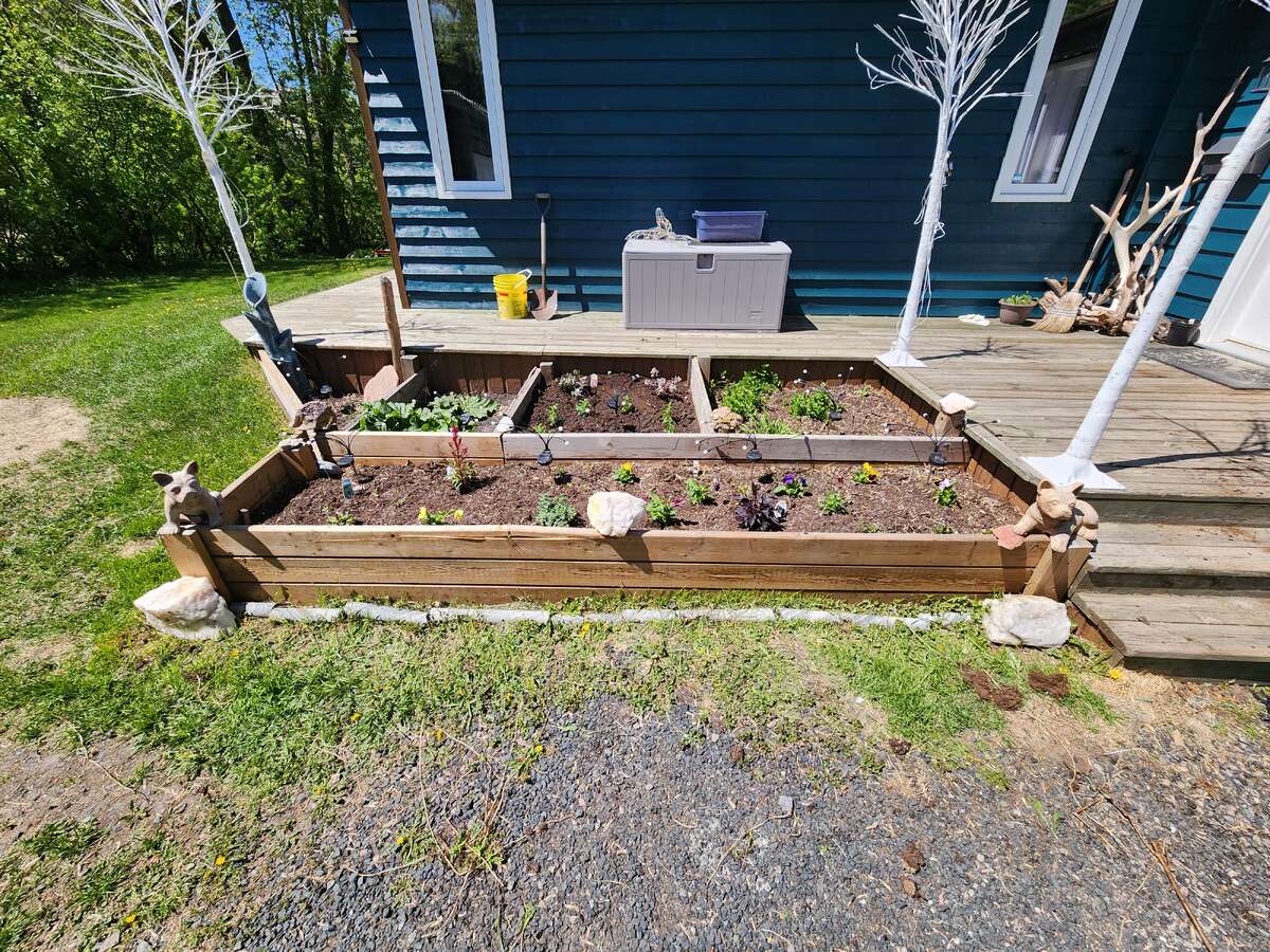 Renovated 4 bed 3 bath home on 100x200 lot w/Shop!