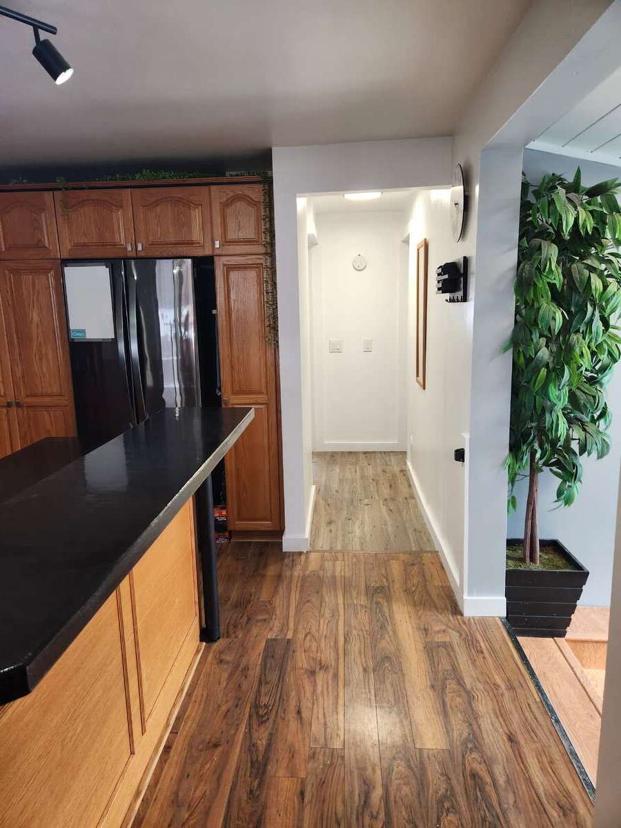 Renovated 4 bed 3 bath home on 100x200 lot w/Shop!