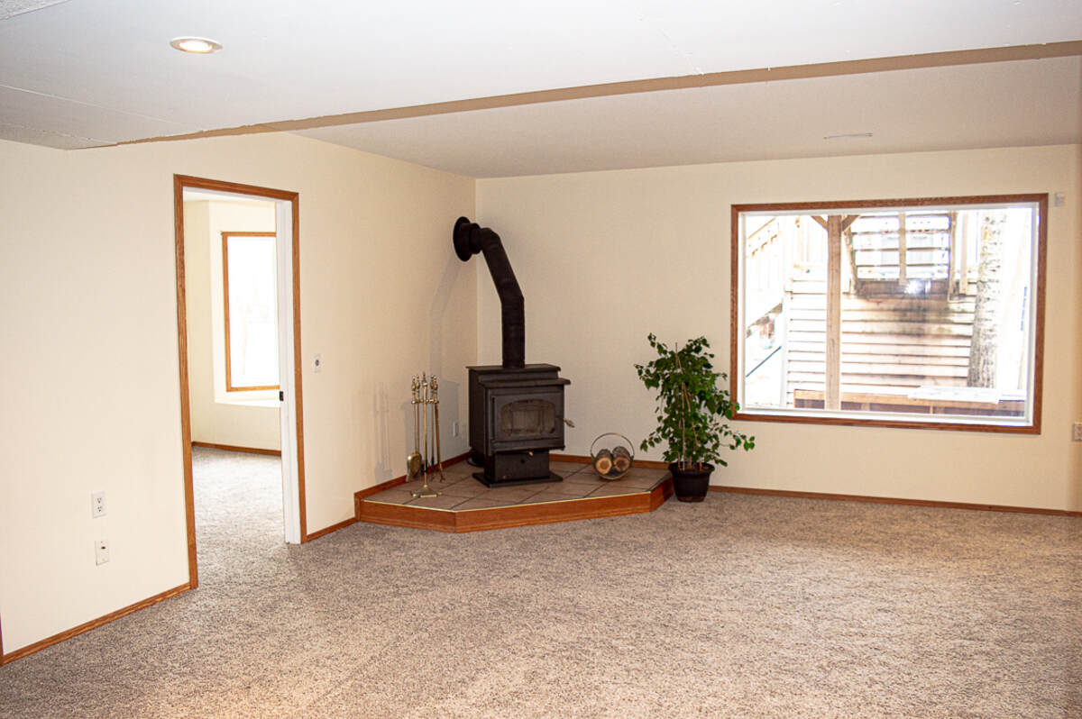 Basement wood stove