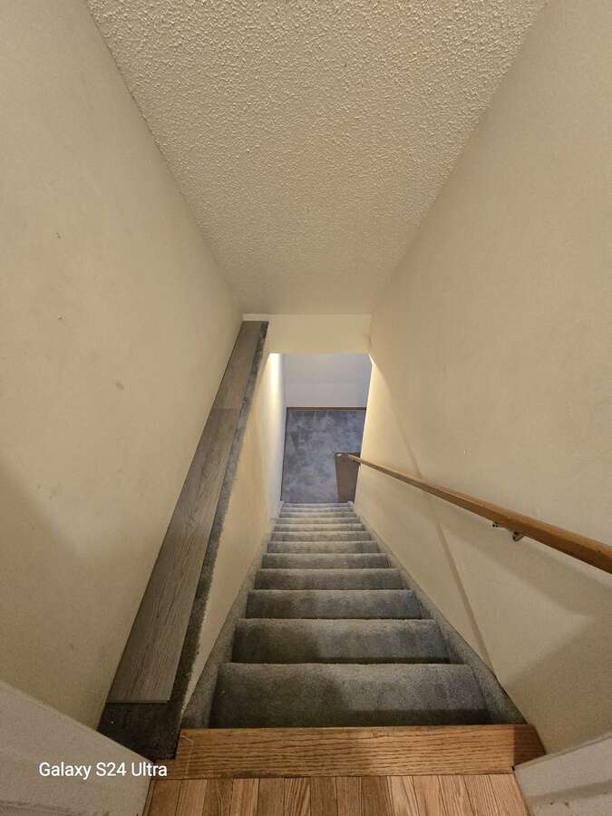 Basement stairs