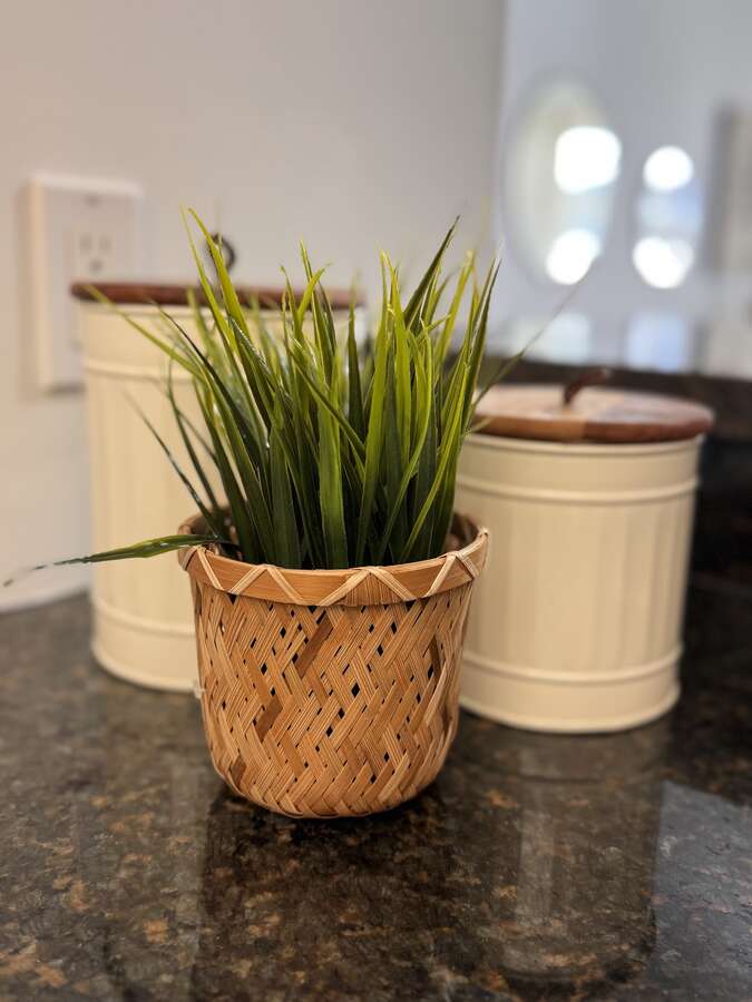 Kitchen View 2