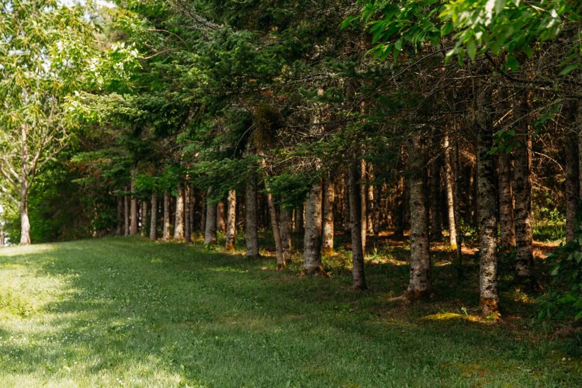 Distinctive Country Home on 6+/- Private Acres