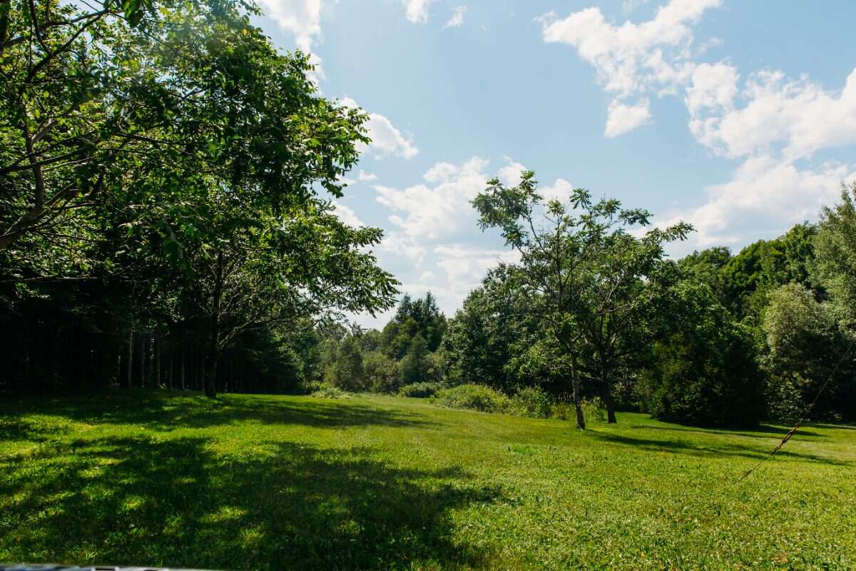 Distinctive Country Home on 6+/- Private Acres