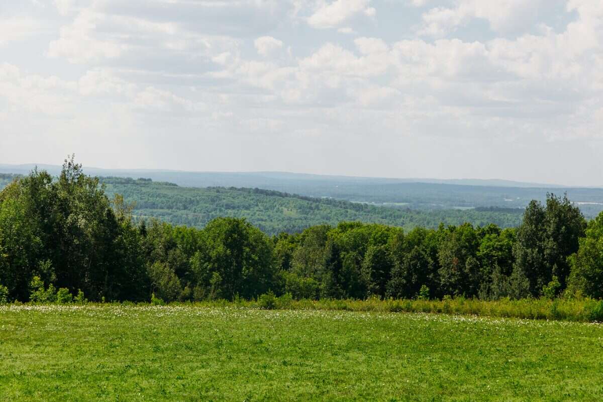 Distinctive Country Home on 6+/- Private Acres