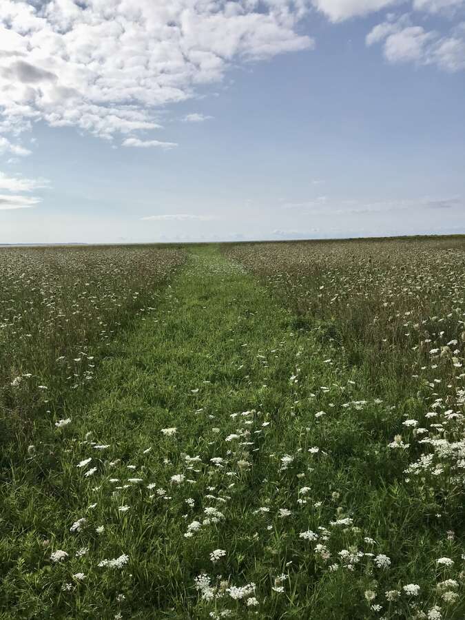 views towards the beach from the old hayfields