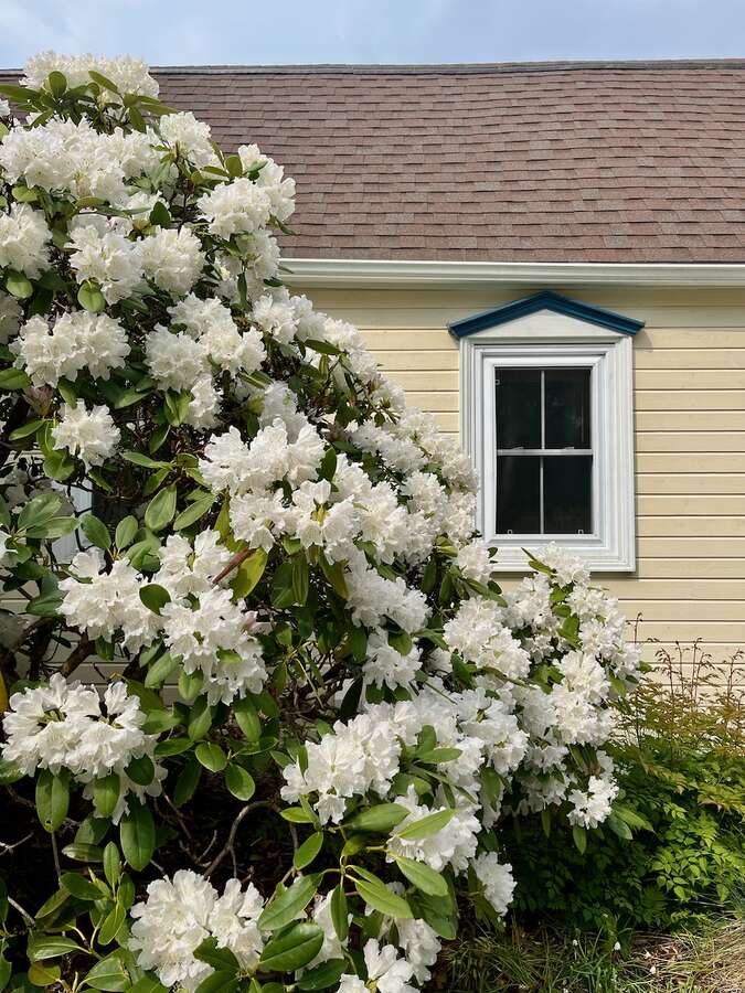 East Coast Living in the heart of Hubbards