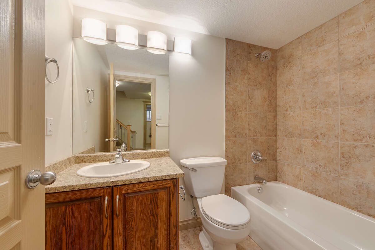 Bathroom in the Basement