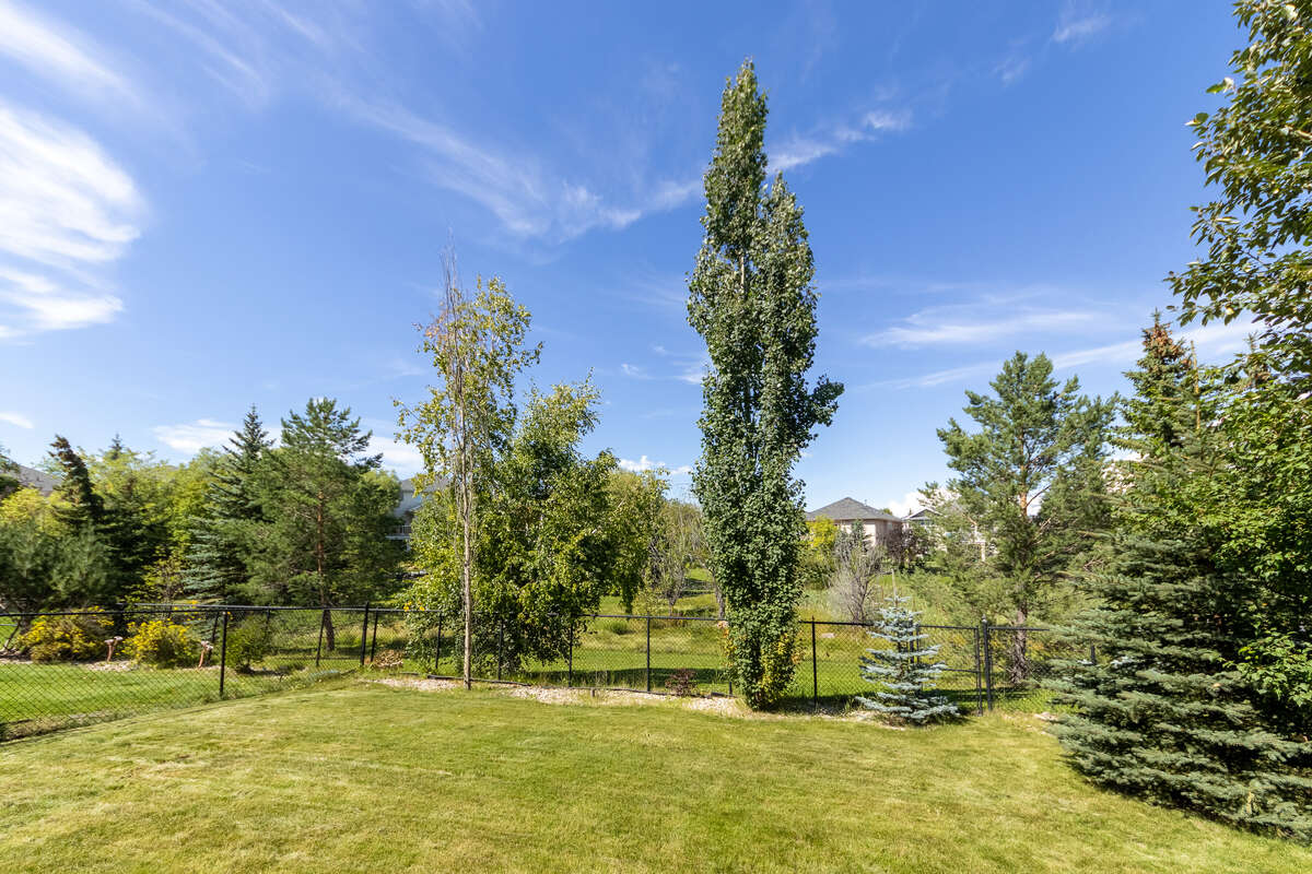 Walkout Basement Door to Patio