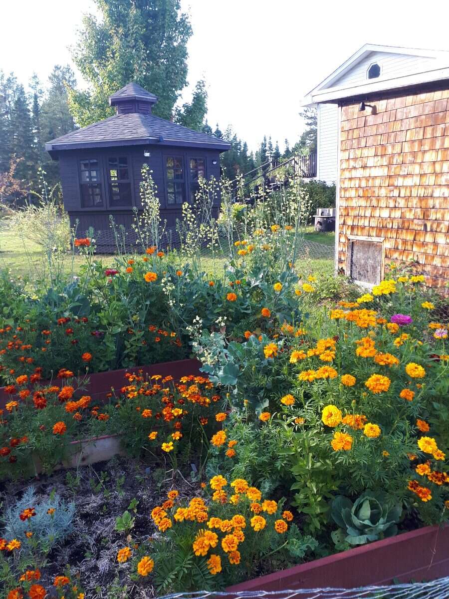 Charming Year-Round Off-Grid Home