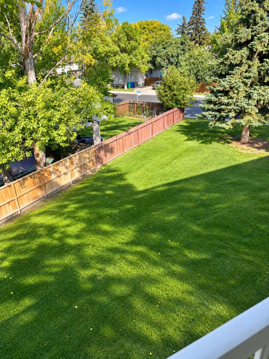Newly renovated and spacious condo