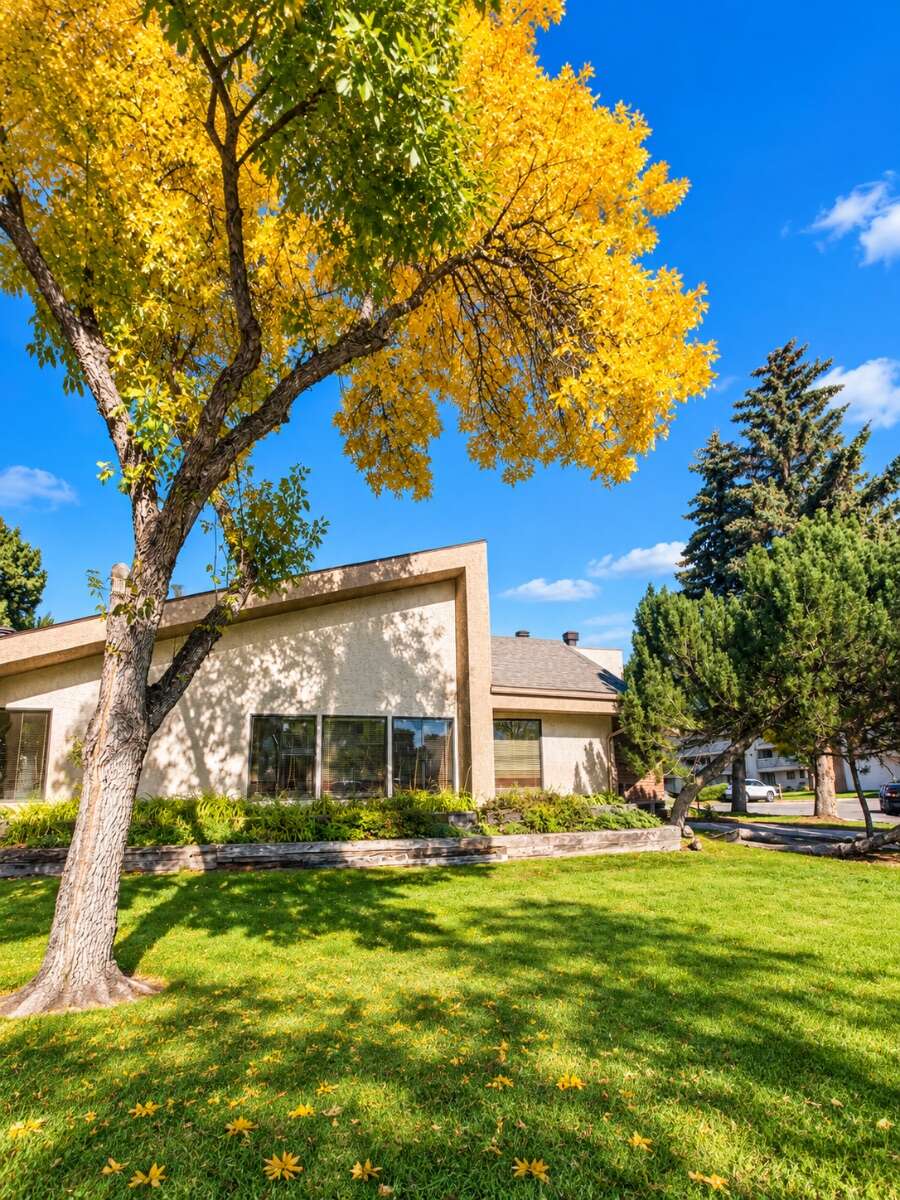 Newly renovated and spacious condo