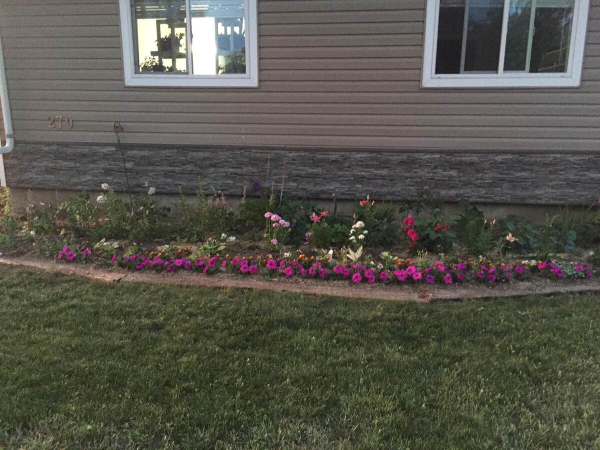 Front flower bed. Many perennials planted!