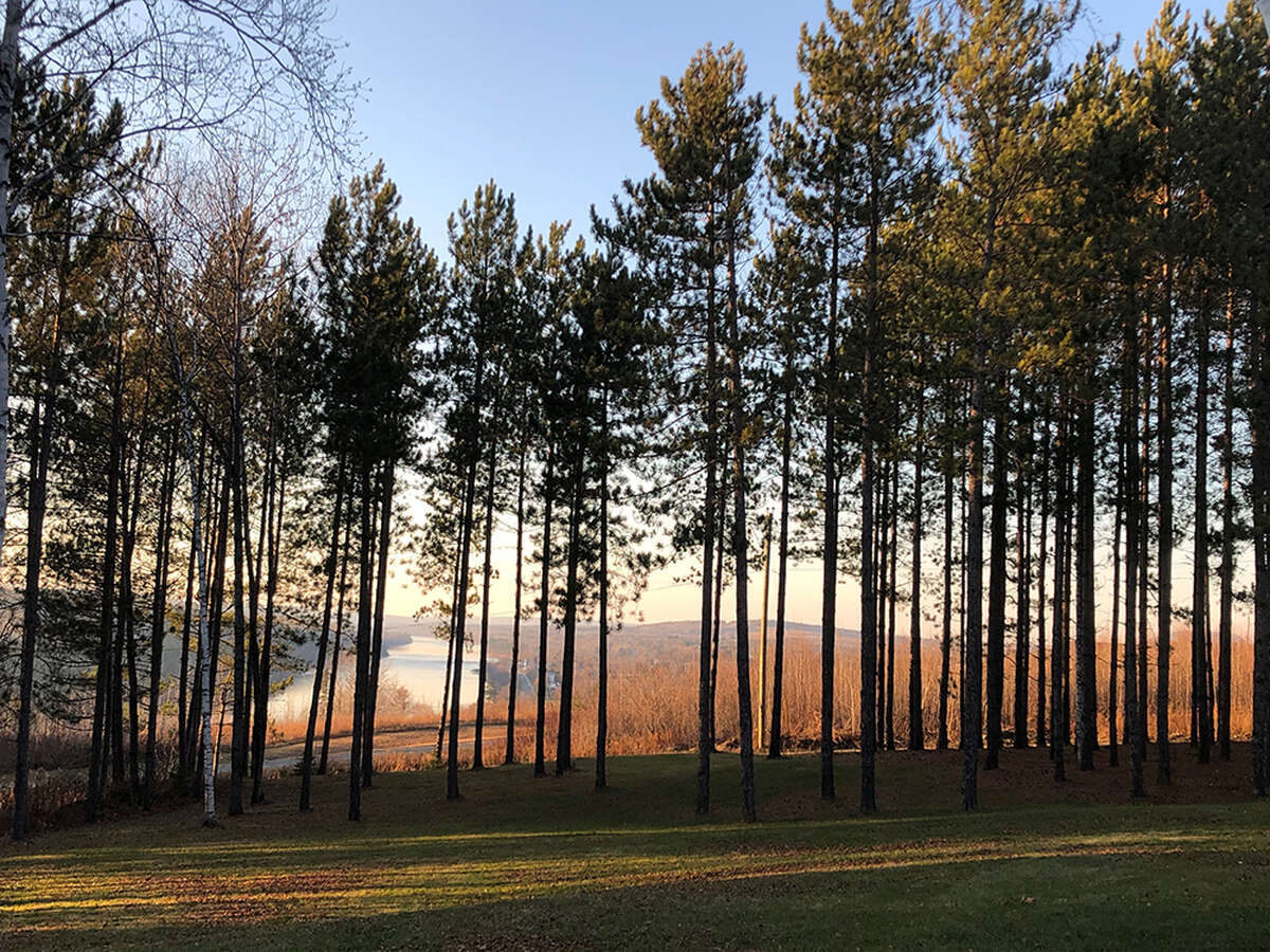 View from the all season Sunporch
