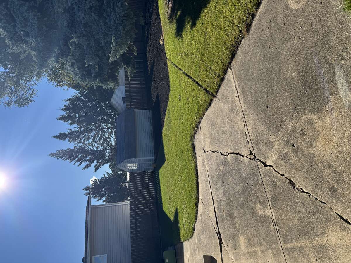 View From Back Door To Your Large Outdoor Backyard Space